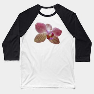 Rose Orchid Baseball T-Shirt